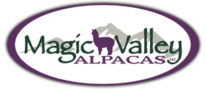 Magic Valley Alpacas
